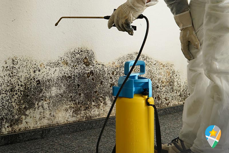Spraying Mold on Wall