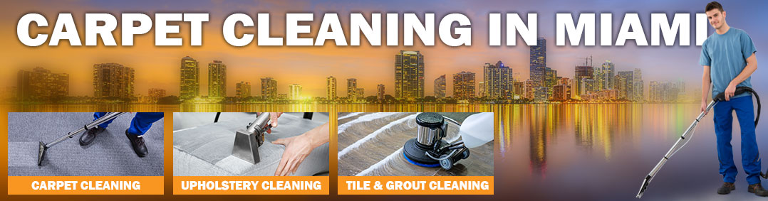 Discount Carpet Cleaning in Miami logo